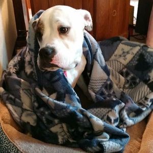 Meet your Posher, Deb